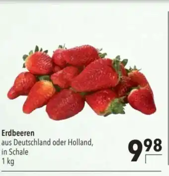 Citti Erdbeeren tilbud
