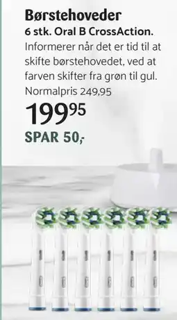 Kop & Kande Børstehoveder, DKK 199.95 tilbud