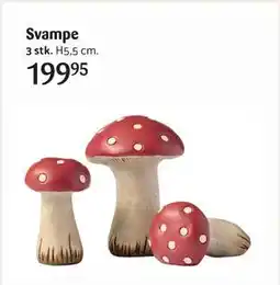 Kop & Kande Svampe, DKK 199.95 tilbud