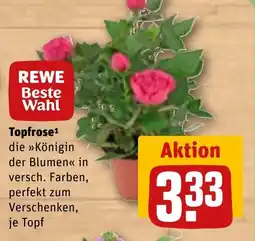 REWE DE Topfrose tilbud