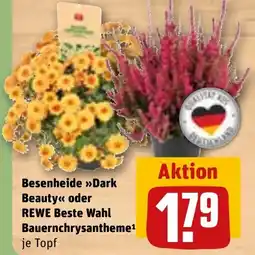 REWE DE Besenheide dark beauty oder rewe beste wahl bauernchrysantheme tilbud