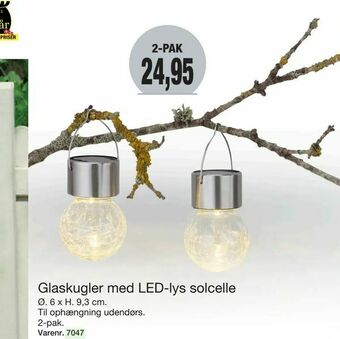 Harald Nyborg Glaskugler med LED-lys solcelle tilbud