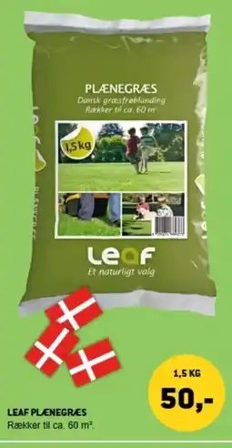 XL-BYG Leaf plænegræs tilbud
