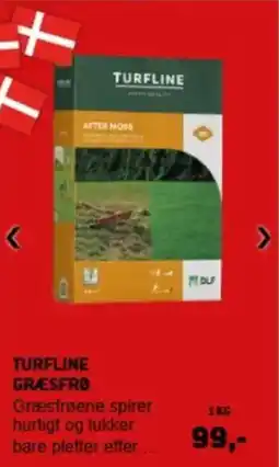 XL-BYG TURFLINE Græsfrøene tilbud