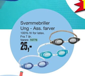 Svømmebriller Ung - Ass. farver