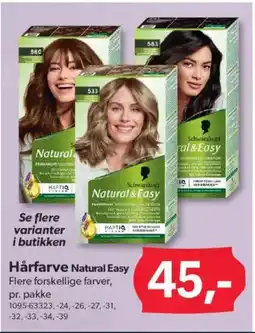 BigDollar Hårfarve Natural Easy tilbud