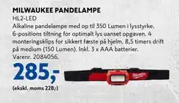 Davidsen MILWAUKEE PANDELAMPE, DKK 285 tilbud