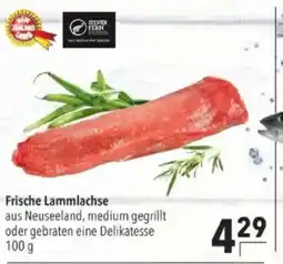 Citti Frische Lammlachse tilbud