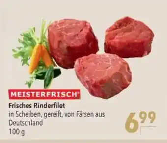 Citti Frisches Rinderfilet tilbud