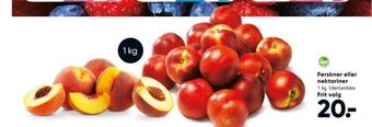 Bilka Ferskner eller nektariner tilbud