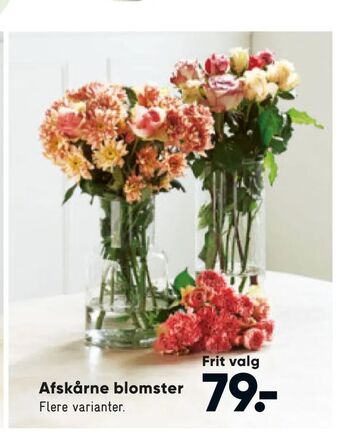 Bilka Afskårne blomster tilbud