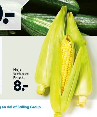 Bilka Majs tilbud