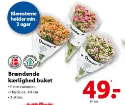 Lidl Brændende kærlighed buket tilbud