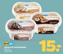 Netto CARTE D'OR Mini isbæger tilbud