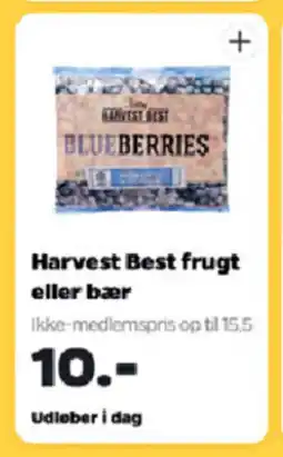 Netto Harvest best frugt eller bær tilbud