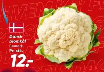 Bilka Dansk blomkål tilbud