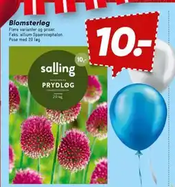 Bilka Blomsterløg, DKK 10 tilbud
