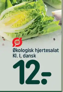 REMA 1000 Økologisk hjertesalat KI. I, dansk tilbud