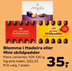 Kvickly Blomme i Madeira eller Mini skildpadder tilbud