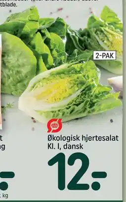 REMA 1000 Økologisk hjertesalat Kl. I, dansk, DKK 12 tilbud