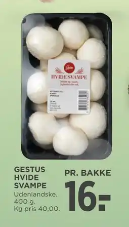 MENY GESTUS HVIDE SVAMPE, DKK 16 tilbud
