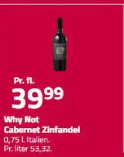 Fleggaard Why Not Cabernet Zinfandel tilbud