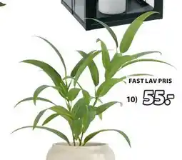 JYSK LARSSON kunstig plante, DKK 55 tilbud