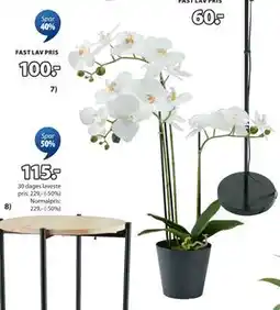 JYSK MATINUS kunstig plante., DKK 100 tilbud
