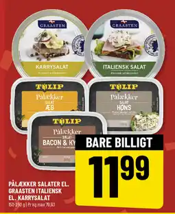 Løvbjerg PÅLÆKKER SALATER EL. GRAASTEN ITALIENSK EL. KARRYSALAT tilbud