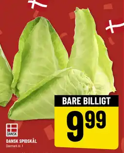 Løvbjerg DANSK SPIDSKÅL tilbud