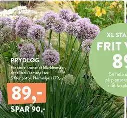 Plantorama PRYDLØG, DKK 89 tilbud