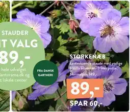 Plantorama STORKENÆB, DKK 89 tilbud