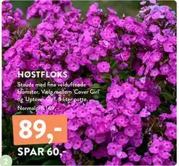 Plantorama HØSTFLOKS, DKK 89 tilbud