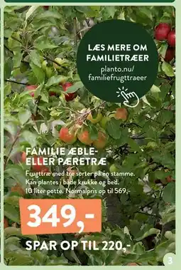 Plantorama FAMILIE ÆBLEELLER PÆRETRÆ, DKK 349 tilbud