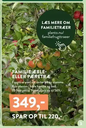 Plantorama FAMILIE ÆBLEELLER PÆRETRÆ, DKK 349 tilbud