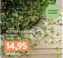 Plantorama PLETTER I LUFTEN, DKK 14.95 tilbud