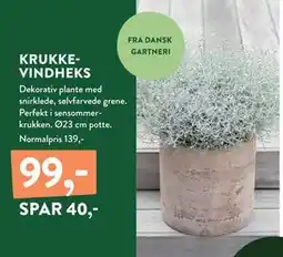 Plantorama KRUKKEVINDHEKS, DKK 99 tilbud