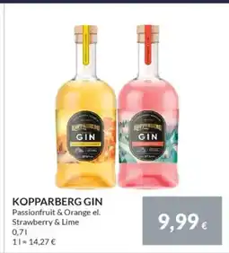 Nielsen's Discount KOPPARBERG GIN tilbud