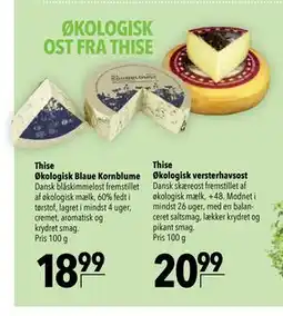 Citti Thise Økologisk Blaue Kornblume, DKK 18.99 tilbud