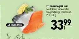 Citti Frisk økologisk laks, DKK 33.99 tilbud