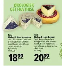 Citti Thise Økologisk versterhavsost, DKK 20.99 tilbud