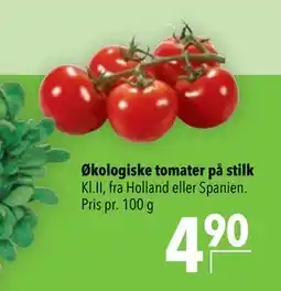 Citti Økologiske tomater på stilk, DKK 4.9 tilbud