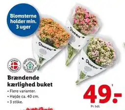 Lidl Brændende kærlighed buket, DKK 49 tilbud