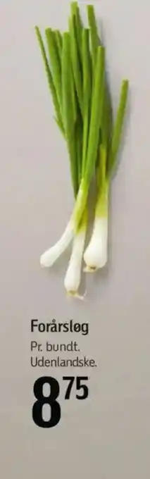 Føtex Forårsløg tilbud