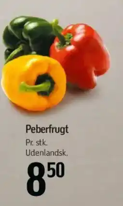 Føtex Peberfrugt tilbud