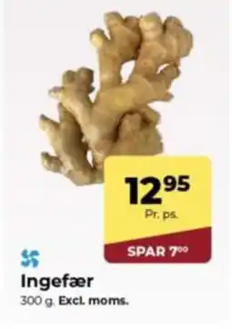 Dagrofa Food Service Ingefær tilbud