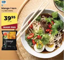 Dagrofa Food Service Mango i tern tilbud