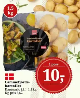 Dagli'Brugsen Lammefjords- kartofler tilbud