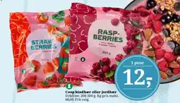 Dagli'Brugsen Coop hindbær eller jordbær tilbud
