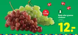 Lidl Røde eller grønne vindruer tilbud
